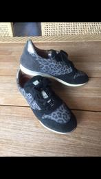 Lederen dames sneaker in panterprint maat 41., Zwart, Ophalen of Verzenden, Sneakers of Gympen, Gedragen