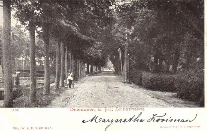 Delemmer, het Pad; Lemsterstraatweg. - volk - 1901 gelopen, Verzamelen, Ansichtkaarten | Nederland, Gelopen, Friesland, Voor 1920