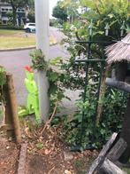 Ik zoek een klein stukje van dit hekwerk, Tuin en Terras, Schuttingen, Minder dan 3 meter, Ophalen of Verzenden, IJzer, 1 tot 2 meter