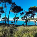 Bar/Restaurant met bovenwoning in Mont-ras, Costa Brava, Huizen en Kamers