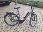 Sparta C grid energy ,2024,mt 56, 55 tot 59 cm, Ophalen of Verzenden, Zo goed als nieuw, Sparta