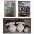 Herfst Decoratie Set - Natuur Paddestoelen Walnoten Citrus, Huis en Inrichting, Woonaccessoires | Overige, Ophalen of Verzenden