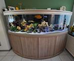fusion horizon 200x76x60 met een pomp van 1 maand oud, Dieren en Toebehoren, Ophalen of Verzenden, Zo goed als nieuw, Leeg aquarium