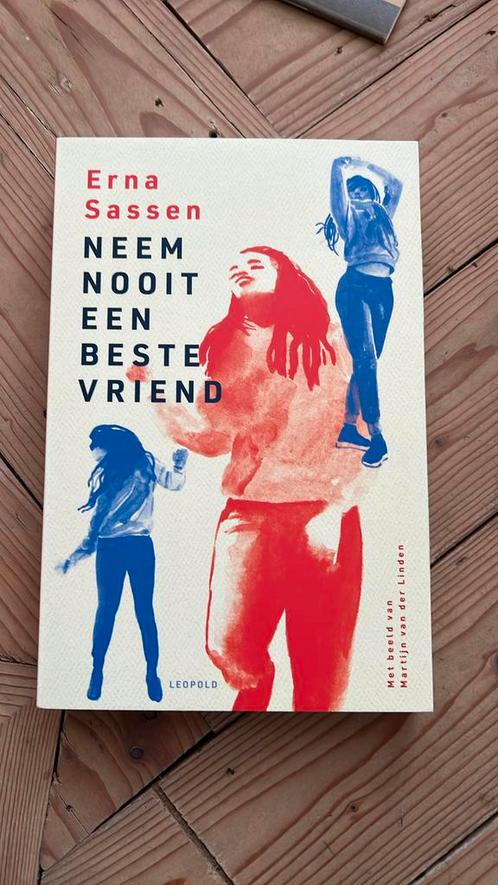 Erna Sassen - Neem nooit een beste vriend, Boeken, Kinderboeken | Jeugd | 13 jaar en ouder, Zo goed als nieuw, Ophalen of Verzenden