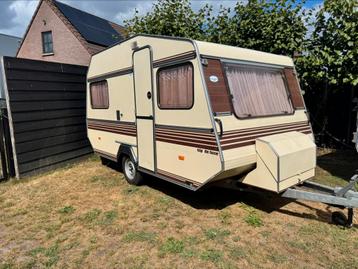 Kip de luxe 390 beschikbaar voor biedingen