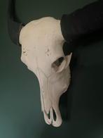 Waterbuffelschedel met Hoorns - Decoratie Object Antiek Look, Ophalen