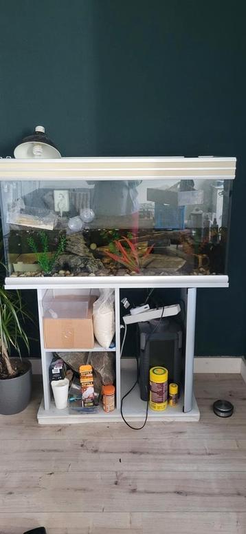 Groot aquarium (100cm) met kast incl guppen, excl toebehoren beschikbaar voor biedingen