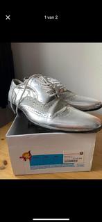 Zilveren herenschoenen, Ophalen, Carnaval, Overige maten, Zo goed als nieuw