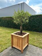 Douglas plantenbak, Ophalen, Nieuw, Rechthoekig, Balkon