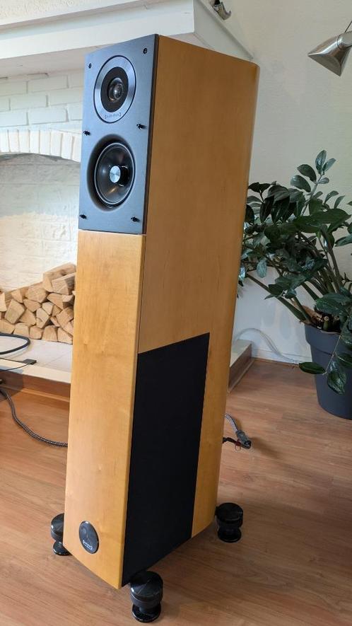 Audio Physic Virgo 25 (jubileum uitvoering), Audio, Tv en Foto, Luidsprekers, Zo goed als nieuw, Front, Rear of Stereo speakers