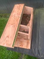 Steenuilen kast, Ophalen of Verzenden, Nieuw, Hout, Broedkooi of Kweekkooi