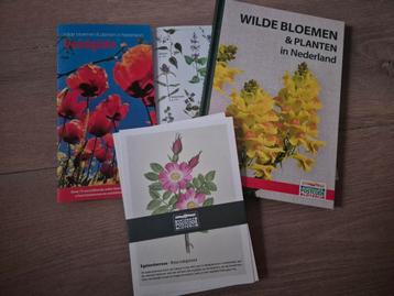 Postcodeloterij wilde bloemen en planten in Nederland  beschikbaar voor biedingen