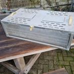 Geraldy opleer/duivenmand, Dieren en Toebehoren, Mannelijk