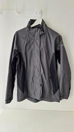 Grijze heren jas buitenjas Wildebeast maat L, Kleding | Heren, Maat 52/54 (L), Ophalen of Verzenden, Zo goed als nieuw, Wildebeast