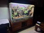 Blikvanger! Groot Paludarium, Ophalen of Verzenden, Zo goed als nieuw, Terrarium of Paludarium