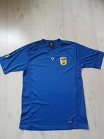 Cambuur Leeuwarden voetbalshirt in size xl, Maat XL, Ophalen of Verzenden, Zo goed als nieuw, Shirt