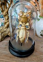 stolp gouden kevers, Ophalen of Verzenden, Zo goed als nieuw, X, X