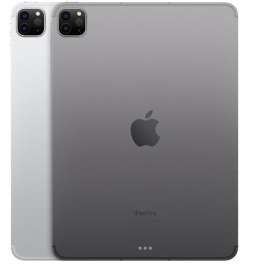 Apple IPad Pro 11 inch (2022) 256GB Wi-Fi Spacegray Nieuw, Computers en Software, Apple iPads, Nieuw, Apple iPad Pro, Wi-Fi, 11 inch