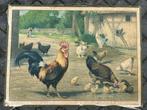 Schoolplaat met haan en kippen, Antiek en Kunst, Antiek | Schoolplaten, Ophalen of Verzenden, Huis en Tuin