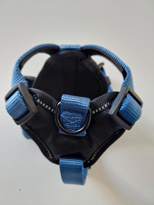 beeztees tuigje voor kleine hond, Dieren en Toebehoren, Hondenhalsbanden en Penningen, Nieuw, Ophalen of Verzenden
