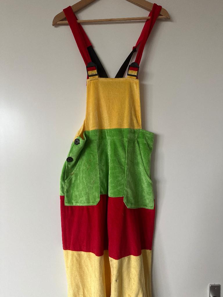 Carnavals tuinbroek gekleurd, Carnaval, Ophalen of Verzenden, Kleding, Maat 36 (S)