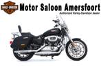 Harley-Davidson XL 1200T / XL1200T SPORTSTER SUPERLOW TOURIN, Motoren, Motoren | Harley-Davidson, Bedrijf, Overig, 2 cilinders