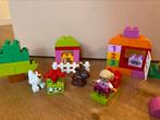 10571 Duplo Alles in 1, Ophalen of Verzenden, Zo goed als nieuw, Duplo