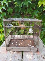 Franse brocante vogelkooi/ allegonda, Ophalen of Verzenden