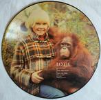 Picture disc LP Jaap ter Haar En Theo de Vos - Lotje musical, Ophalen of Verzenden, Zo goed als nieuw, Muziek