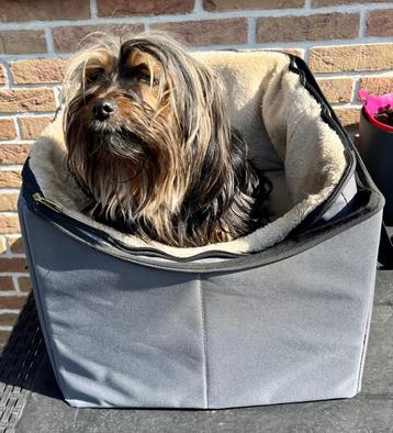 Honden autostoel met verhoging voor kleinere hond. beschikbaar voor biedingen