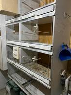 Broedkooi, Dieren en Toebehoren, Vogels | Hokken en Kooien, Ophalen, Gebruikt, Hout, Broedkooi of Kweekkooi