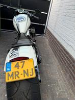 Harley davidson, Motoren, Motoren | Harley-Davidson, Particulier, Chopper