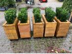 Plantenbakken voor uw horeca terras of voor het interieur, Tuin en Terras, Bloembakken en Plantenbakken, Ophalen, Nieuw, Hout