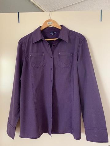 Dames blouse XXL - Cecil - paars - katoen beschikbaar voor biedingen