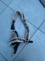 Panter set, Dieren en Toebehoren, Ophalen of Verzenden, Zo goed als nieuw, Overige soorten