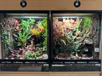 Te koop: twee terrariums van EVI reptiles, Dieren en Toebehoren, Terrarium of Paludarium, Zo goed als nieuw, Ophalen