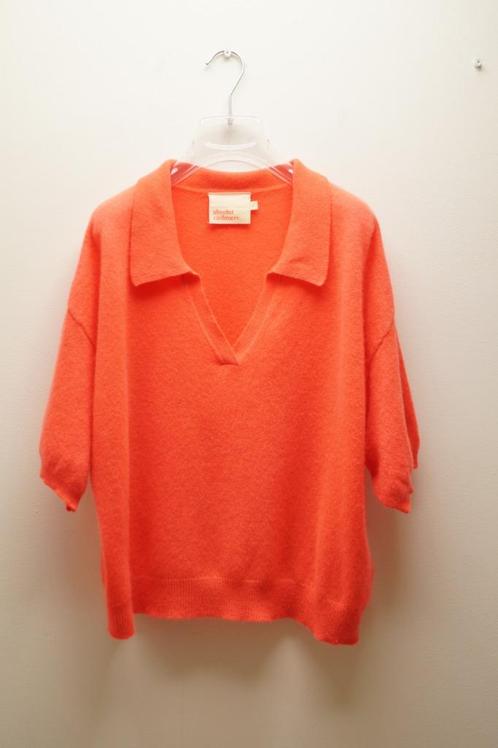 *NIEUW* ABSOLUT CASHMERE Trui Maat 38-40, Kleding | Dames, Truien en Vesten, Nieuw, Maat 38/40 (M), Verzenden