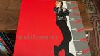 Gianna Nannini.  Malafemmmina, Cd's en Dvd's, Vinyl | Pop, Ophalen of Verzenden, 1980 tot 2000, Zo goed als nieuw