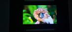 Samsung tv 75 inch 4k, Alle leeftijden, Ophalen of Verzenden, Zo goed als nieuw
