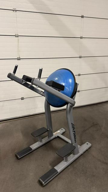 Life Fitness Signature Series Leg Raise beschikbaar voor biedingen