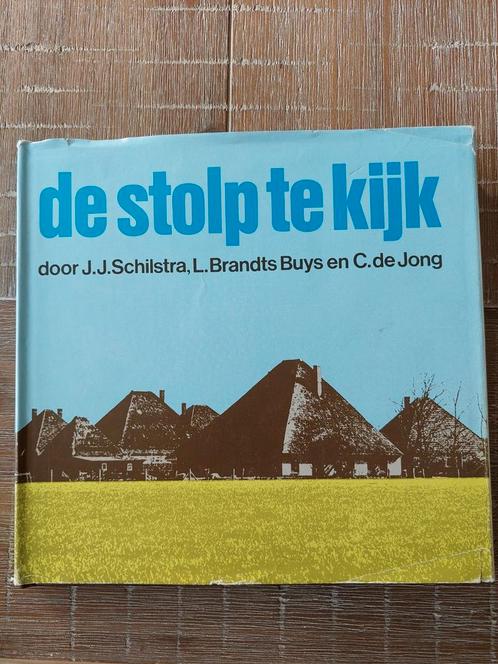 De Stolp te Kijk - J.J. Schilstra, Boeken, Kunst en Cultuur | Architectuur, Gelezen, Architectuur algemeen, Ophalen of Verzenden