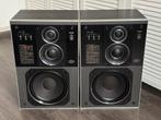 Philips 22AH587 "Black Tulip" Motional Feedback Boxen, Audio, Tv en Foto, Luidsprekers, Ophalen, Philips, Refurbished, 60 tot 120 watt