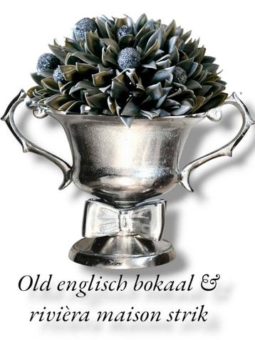 Old englisch bokaal & * plant & rivièra maison strik beschikbaar voor biedingen