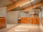 Draaibare voorwand | Draaibaar | Basis | Nieuw | Stalwand |, Stalling, 4 paarden of pony's of meer