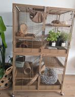 Grote rattenkooi + accessoires, Dieren en Toebehoren, Kooi, Ophalen of Verzenden, Zo goed als nieuw, 90 cm of meer