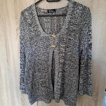Mooi grijs dames vestje( Chic). beschikbaar voor biedingen