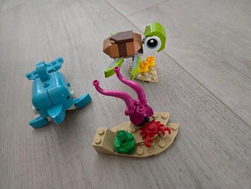 Lego Creator 31128 | Dolfijn en Schildpad, Kinderen en Baby's, Speelgoed | Duplo en Lego, Zo goed als nieuw, Lego, Complete set