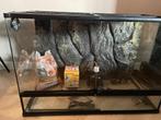 Terrarium 90x45x60, Ophalen, Gebruikt, Terrarium of Paludarium