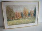 Aquarel, Schilderij - Herfst in Laren - Ben Hosman - 73 x 55, Antiek en Kunst, Ophalen