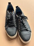 U.S. Polo ASSN dames sneakers, Kleding | Heren, Schoenen, Zwart, Ophalen of Verzenden, U.S. Polo ASSN, Sneakers of Gympen